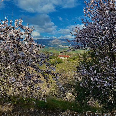 Вилла El Sueno, Cortijo Andalusi Del Siglo XIX Альмохия Экстерьер фото