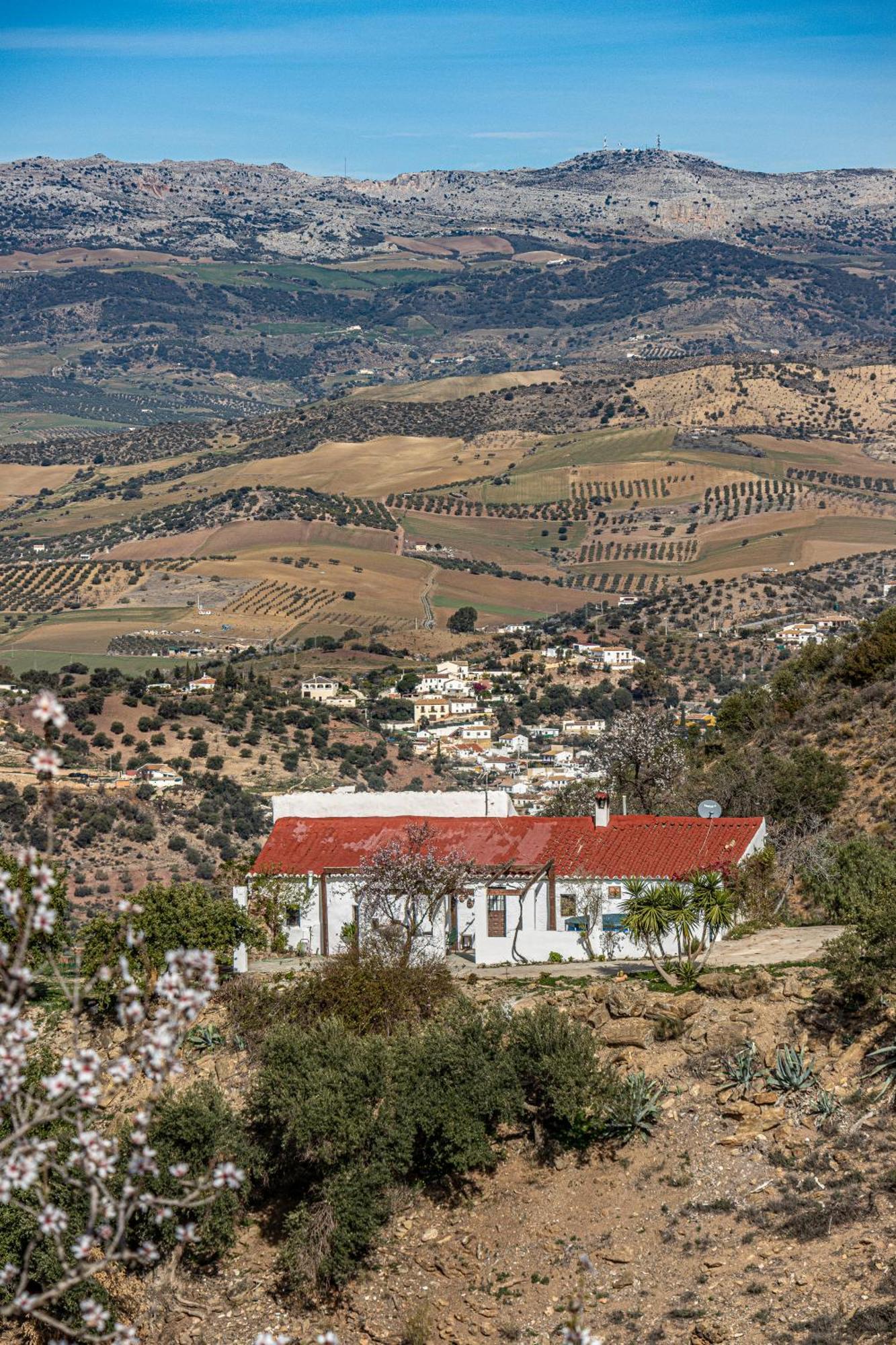 Вилла El Sueno, Cortijo Andalusi Del Siglo XIX Альмохия Экстерьер фото