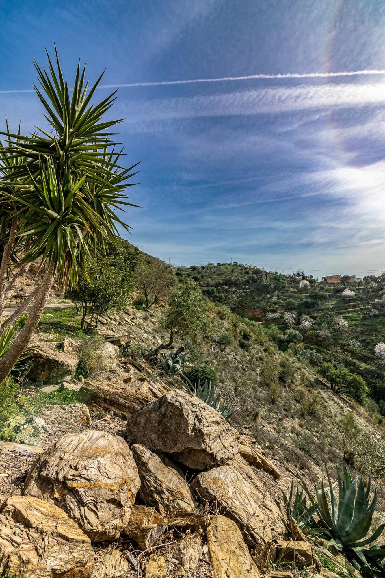 Вилла El Sueno, Cortijo Andalusi Del Siglo XIX Альмохия Экстерьер фото